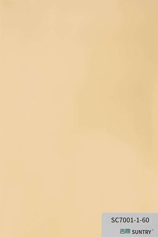 SC7001-1-60